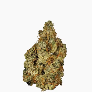 1762205073-2023_12_tru_e-comm_web_images_modernflower_5602569412_garlic_cookies_2_1_