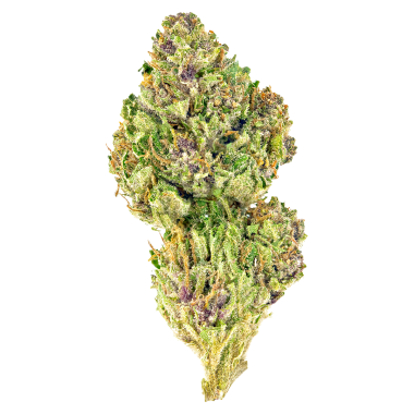 vV2OrYD0SkKYreqDP2Ke_PinkKush